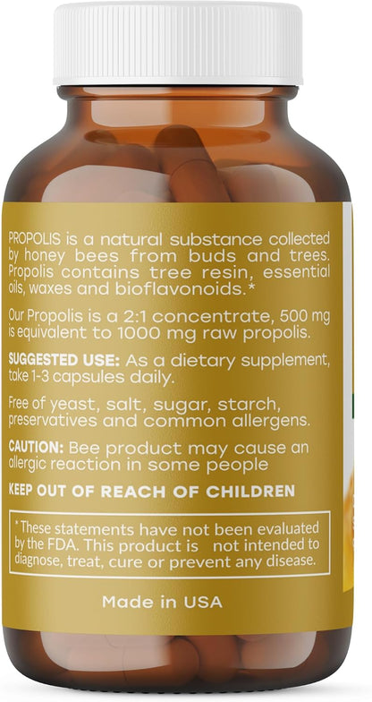 Propolis Standardised, 1000 mg, 90 Capsules
