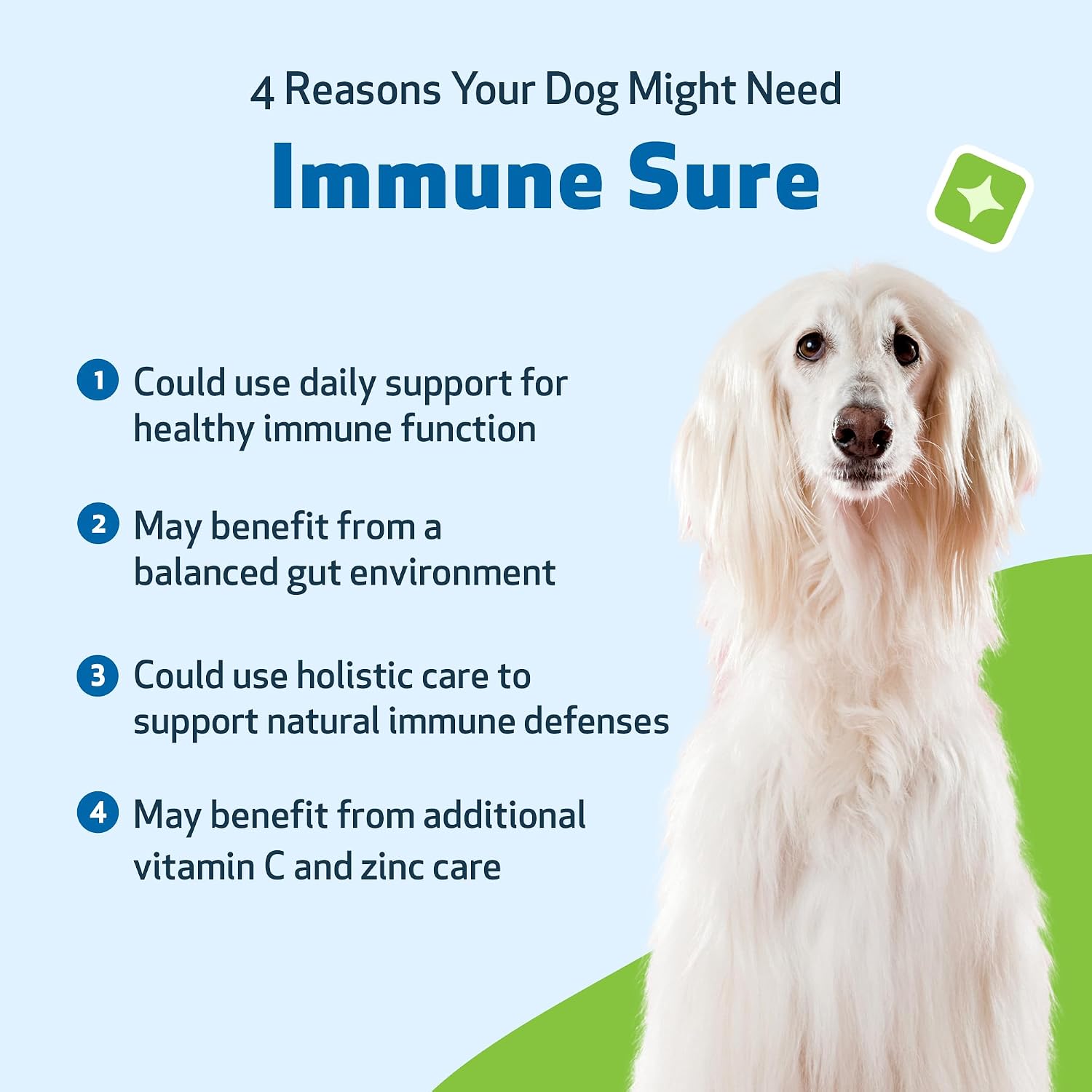 Pet Wellbeing Immune Sure for Dogs – Herbal Immune Support Supplement (118 ml) - görsel 3