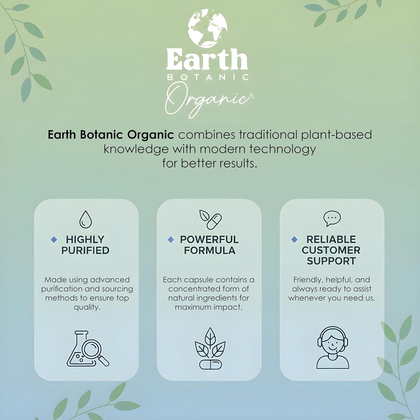 Earth Botanic Organic Damiana Capsules 1000 mg – Damiana Leaf Extract 20:1 Concentrated Herbal Supplement – 120 Veg Capsules - görsel 6