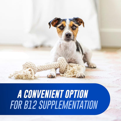 Nutramax Cobalequin B12 for Dogs and Cats – Chewable Cobalamin Supplement with Folate (45 Tablets)