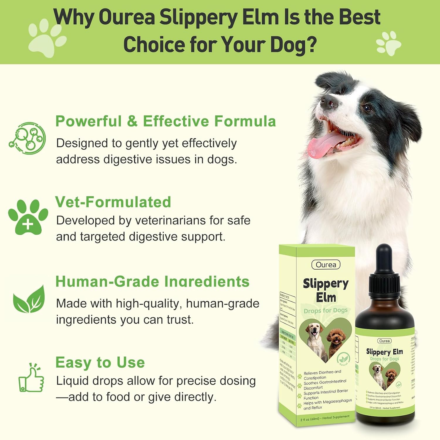 Slippery Elm for Dogs – Organic Herbal Digestive Support Drops - görsel 4