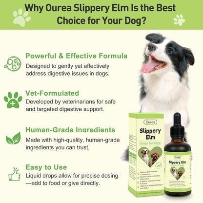 Slippery Elm for Dogs – Organic Herbal Digestive Support Drops