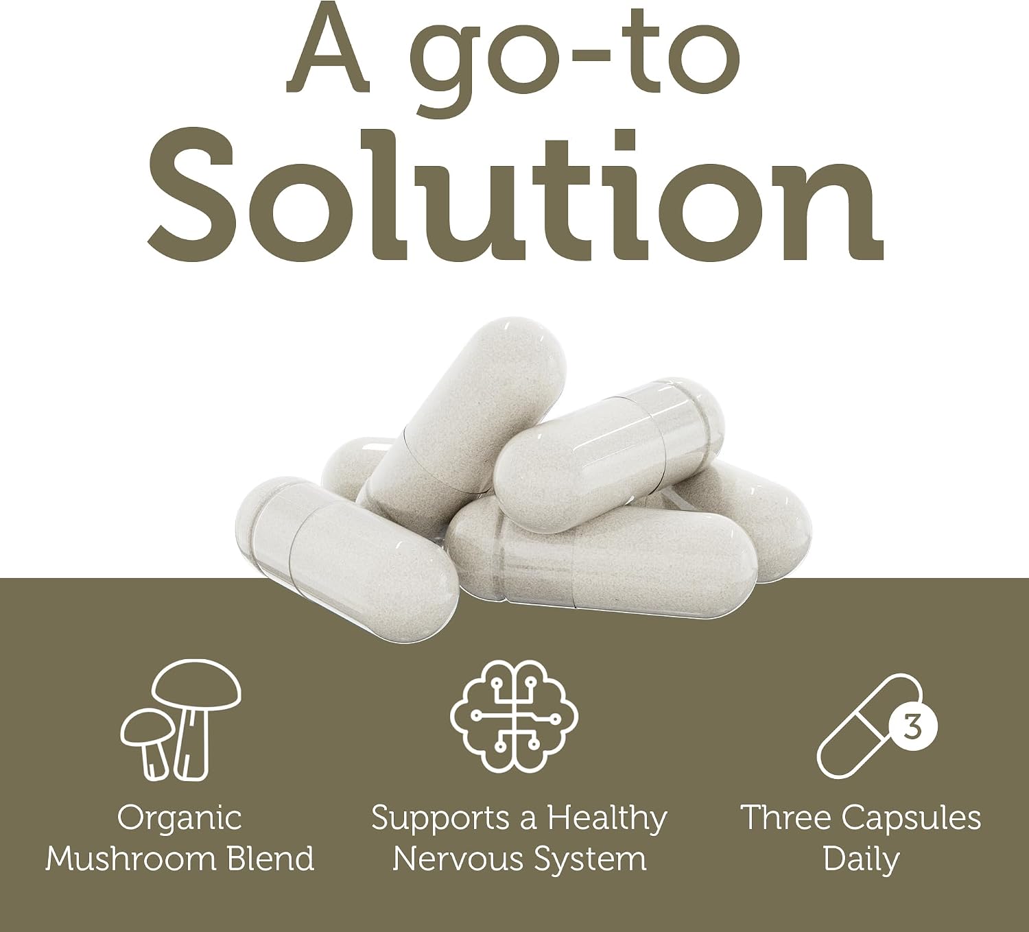 Zahler AdultFocus - Advanced Formula for Focus and Concentration - 60 Capsules - görsel 4