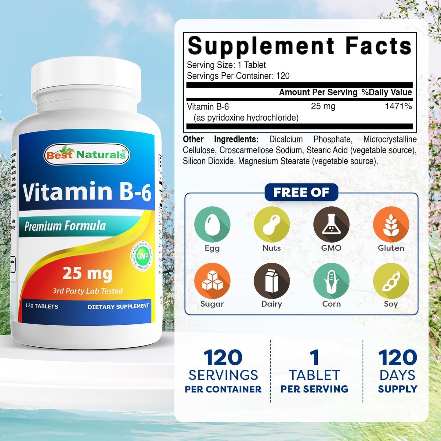Best Naturals Vitamin B6 25mg, 120 Tablets - görsel 2