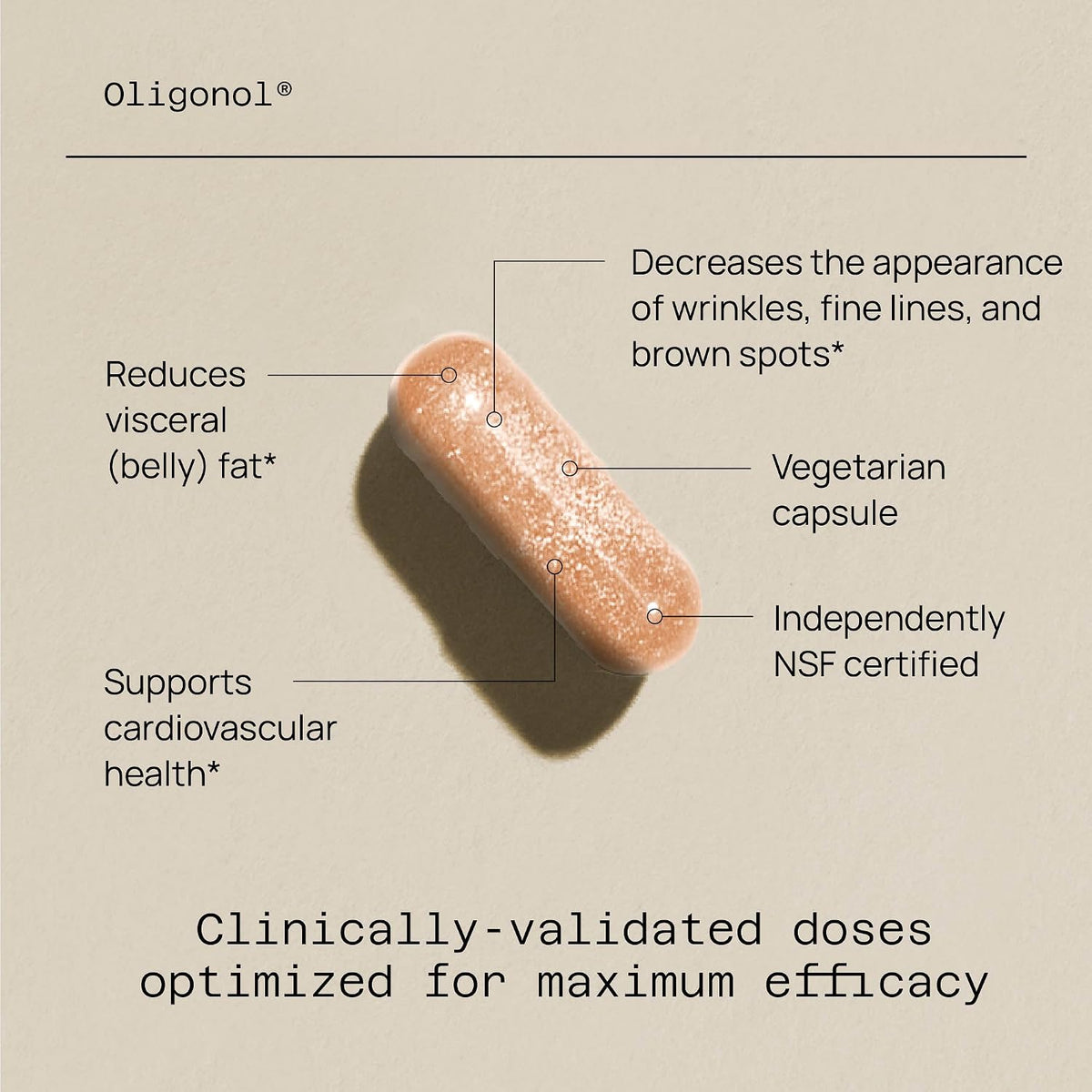 Quality of Life Oligonol Premium Anti Ageing Supplement - Promotes Cardiovascular Health, Circulation & Youth - Lychee Fruit Extract - 30 Vegicaps - görsel 3
