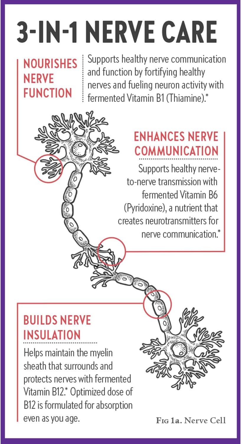 New Chapter Nerve Health Supplement for 3-in-1 Support from Head to Toe - Vitamin B1 Generates Energy for Nerves, Vitamin B6 Enhances Healthy Transmission, Vitamin B12 Builds Insulation, 30 Capsules - görsel 8