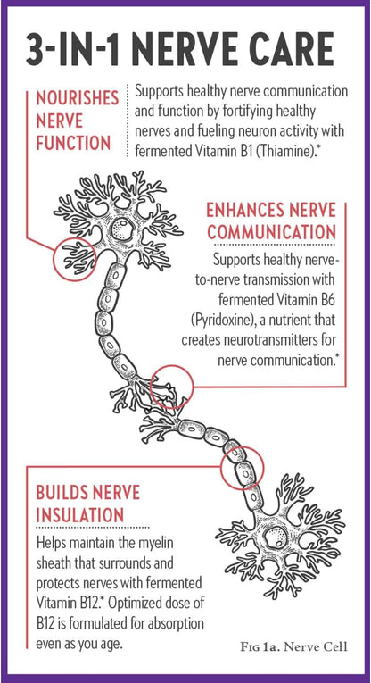 New Chapter Nerve Health Supplement for 3-in-1 Support from Head to Toe - Vitamin B1 Generates Energy for Nerves, Vitamin B6 Enhances Healthy Transmission, Vitamin B12 Builds Insulation, 30 Capsules