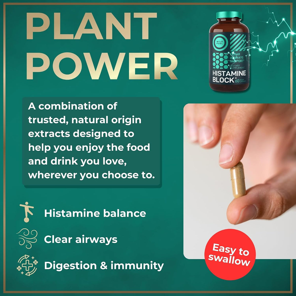 Histamine Block 10:1 Flavonoids Supplement – Quercetin, Stinging Nettle, Artemisia Annua – Seasonal Allergy Support – 60 Capsules - görsel 6