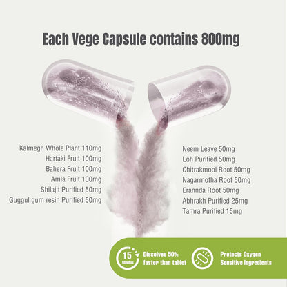 Arogya Vardhini Capsules – Traditional Ayurvedic Formulation, Pitta and Kapha Balancing, 90 Vegetarian Capsules, 800 mg Each