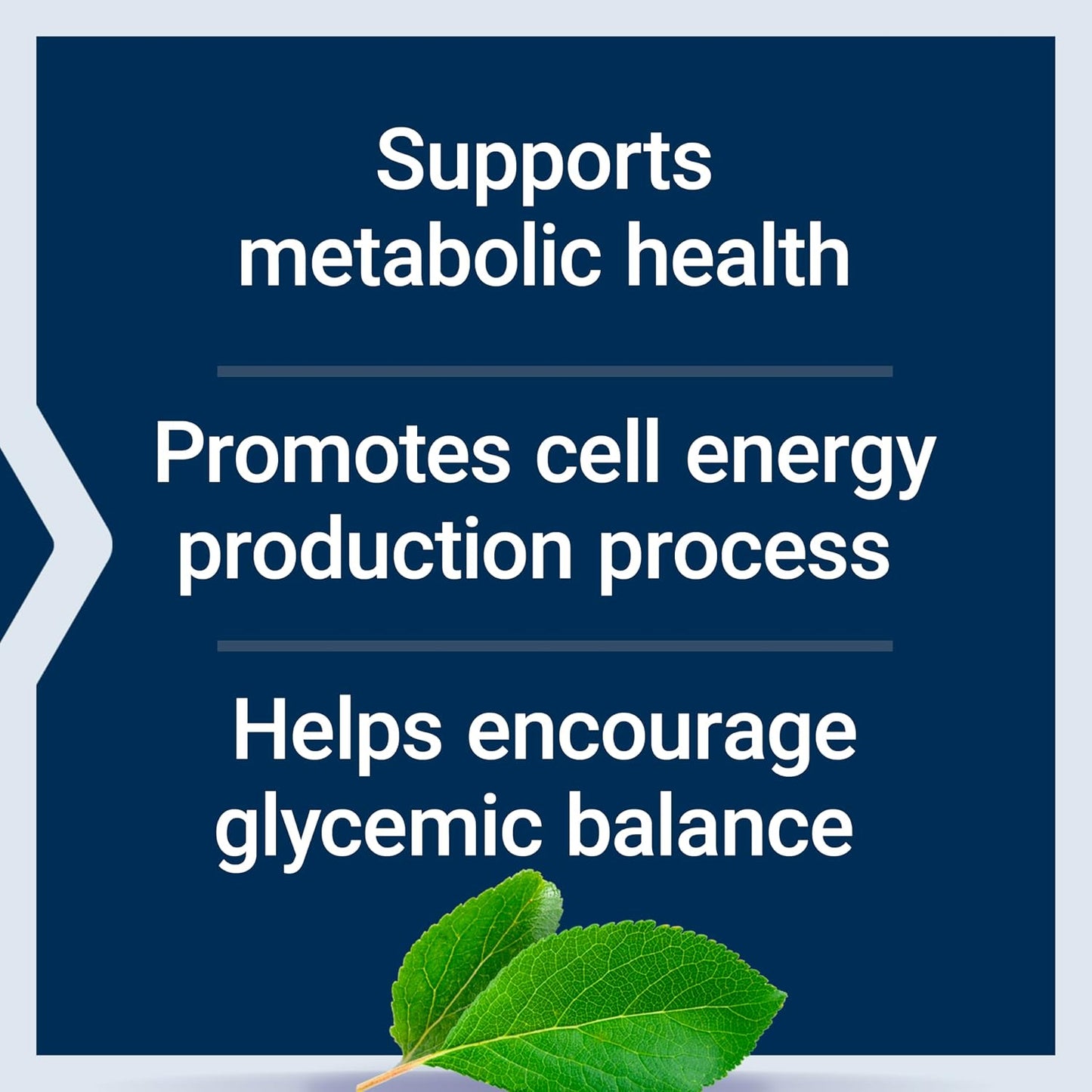 Life Extension Vanadyl Sulphate, Trace Mineral Supplement for Metabolic Support – 100 Tablets - görsel 4