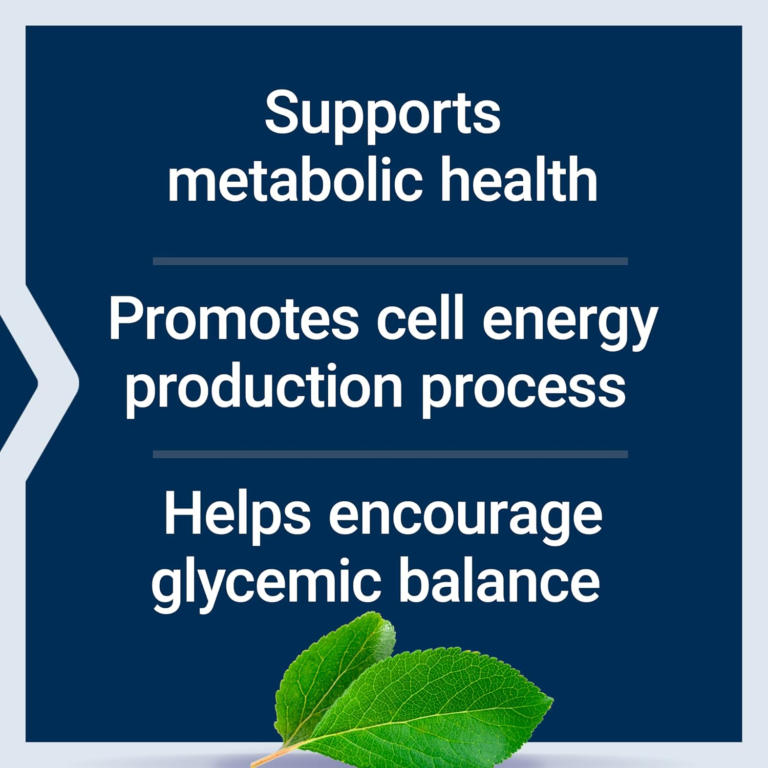 Life Extension Vanadyl Sulphate, Trace Mineral Supplement for Metabolic Support – 100 Tablets - görsel 4