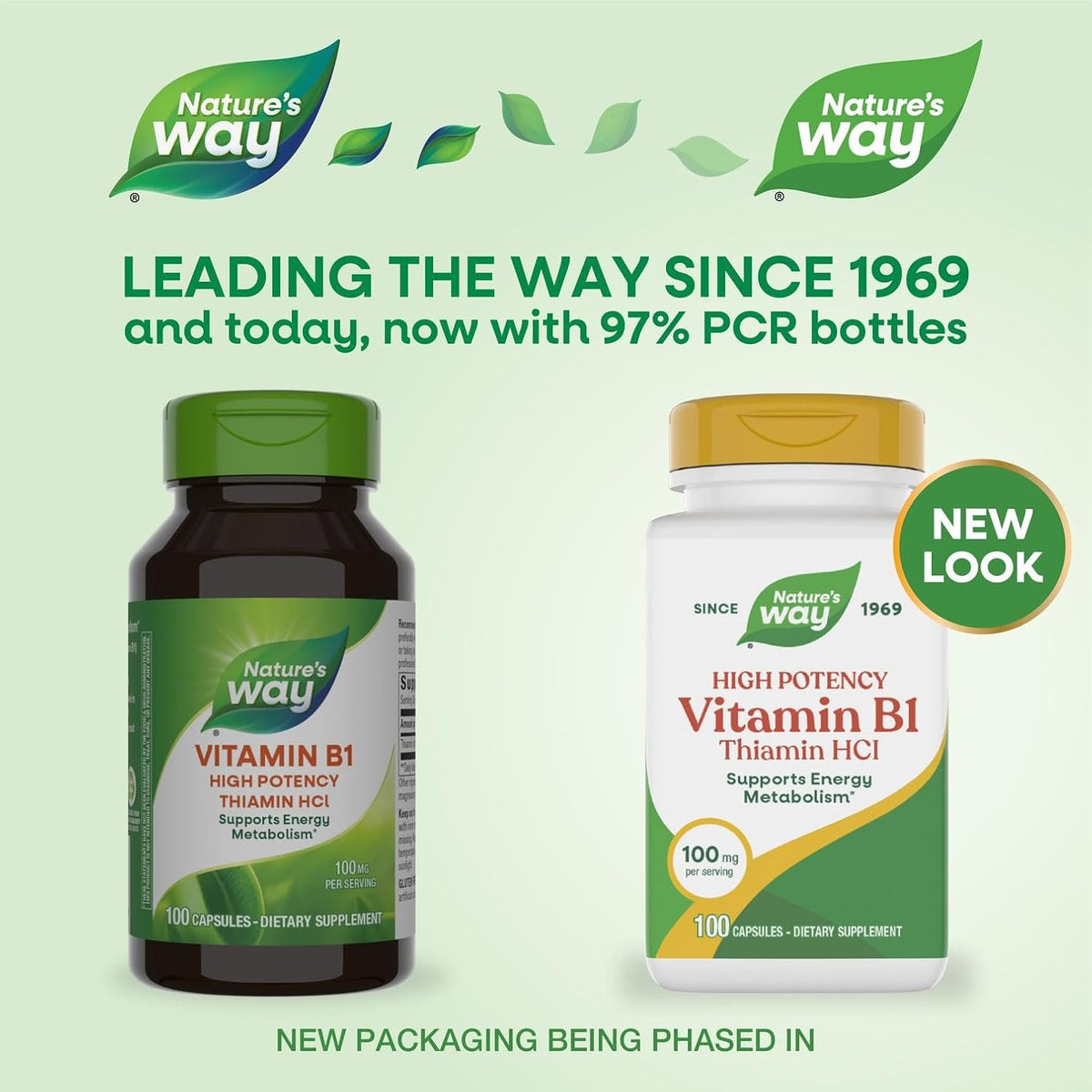 Nature's Way Vitamin B1, 100 mg Thiamine HCl, 100 Capsules - görsel 2