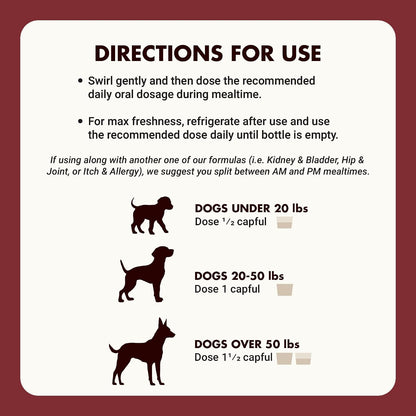 Liquid-Vet Immune Support for Dogs – Antioxidant Protection and Gut Health