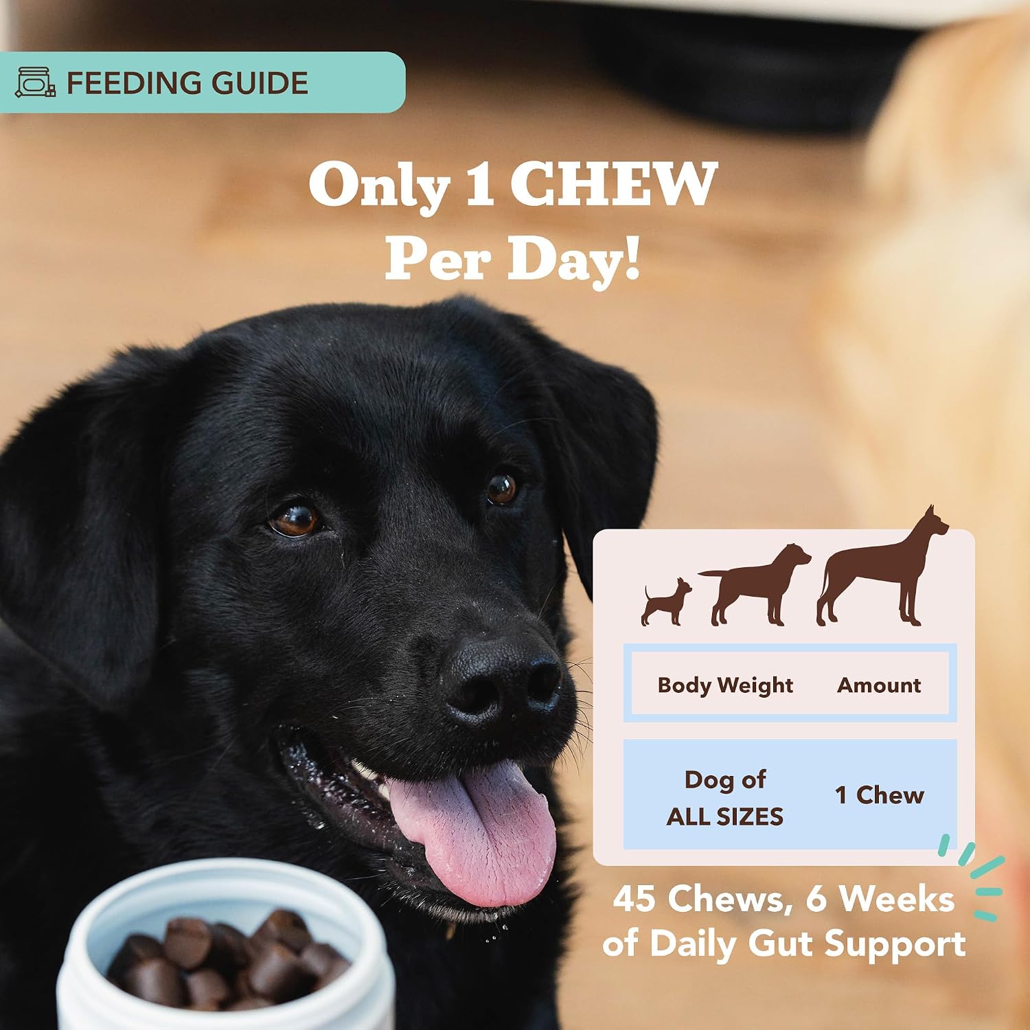 Natural Dog Company Probiotics for Dogs – Dog Probiotic Chews with 1B CFU, Canine-Specific Microencapsulated Strains, Prebiotics & Enzymes for Digestive Health, Stool Quality & Immune Support, 45 Chews - görsel 7