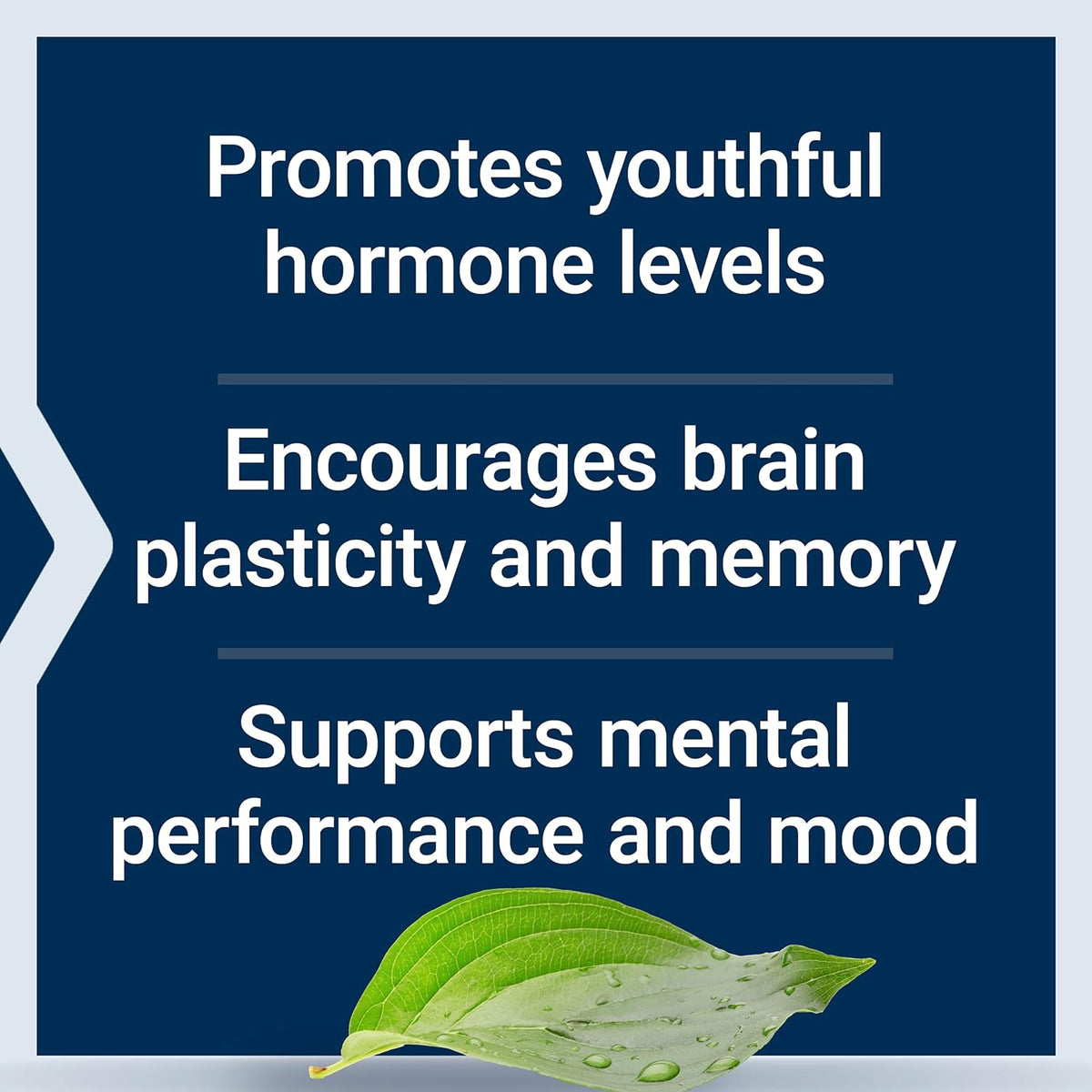 Life Extension Pregnenolone 100 mg – Hormone Balance, Memory & Cognitive Support – 100 Capsules - görsel 4