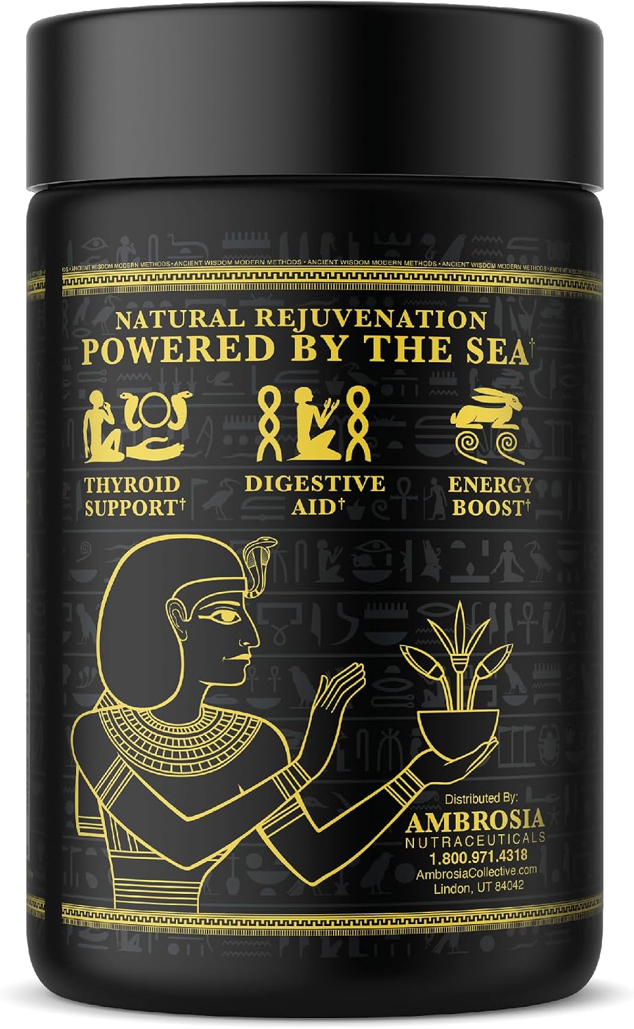 Ambrosia Organic Irish Sea Moss Capsules | 500mg | 120 Veggie Capsules - görsel 5