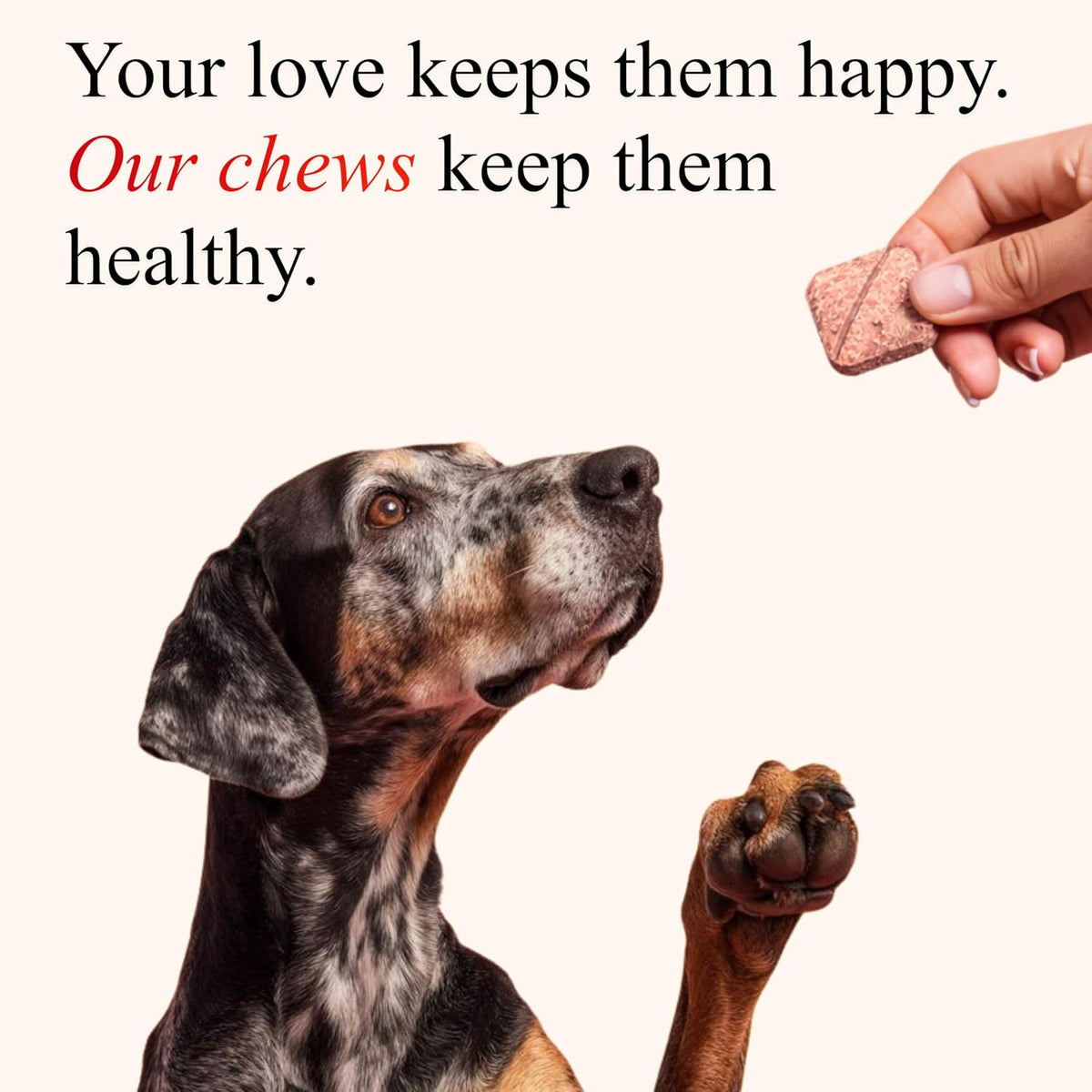 Petroyale Cranberry Chews for Dogs – Urinary Support & Bladder Health (30 Soft Chews) - görsel 6