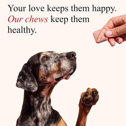 Petroyale Cranberry Chews for Dogs – Urinary Support & Bladder Health (30 Soft Chews)