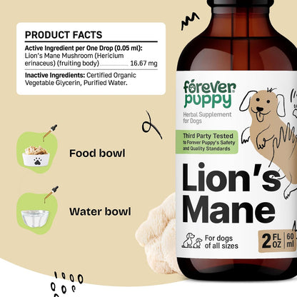 Forever Puppy Lion's Mane Mushroom Supplement for Dogs – Brain & Focus Support, 60 ml