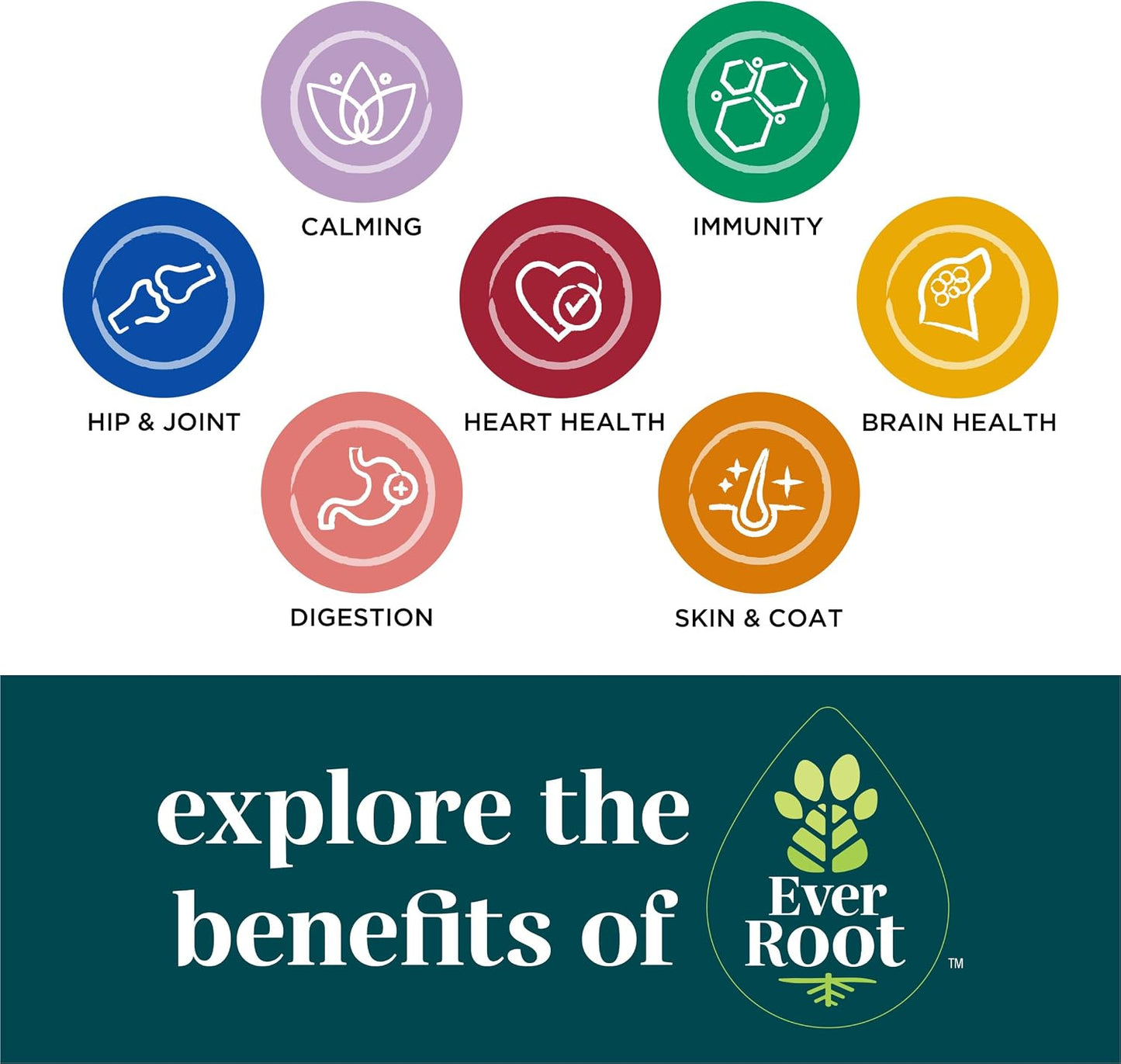 EverRoot Dog Heart Health Chewable Tablets with Taurine and Green-Lipped Mussels - görsel 8