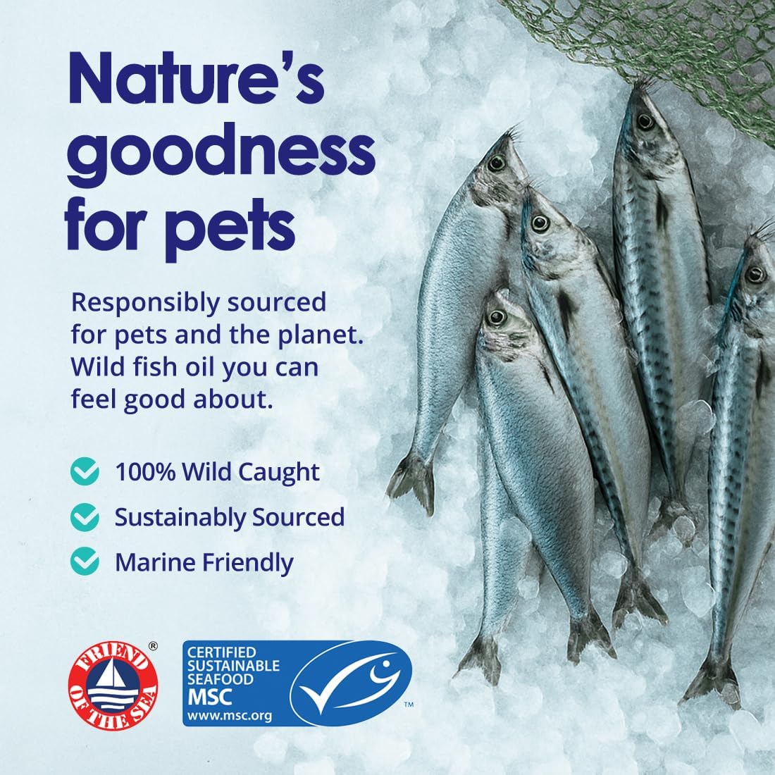 Wild Omega 3 Fish Oil for Dogs – Liquid Supplement with EPA & DHA (355 ml) - görsel 4