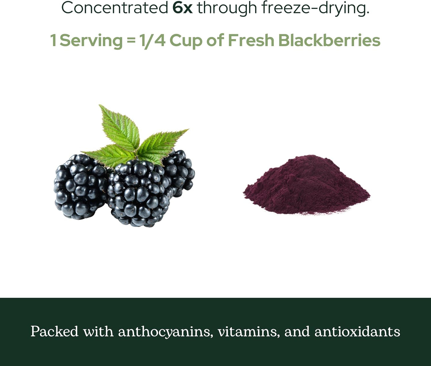 Eclectic Herb BlackBerry Powder - Freeze-Dried Superfood Supplement (91 g) - görsel 8