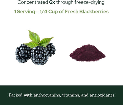 Eclectic Herb BlackBerry Powder - Freeze-Dried Superfood Supplement (91 g)