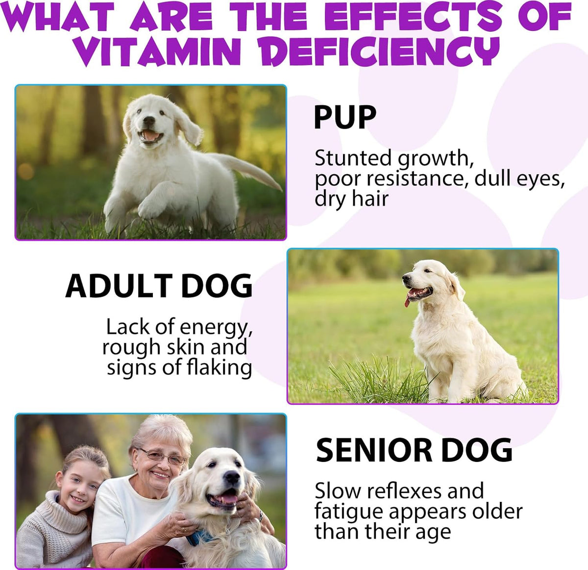 15-in-1 Dog Multivitamin Liquid - All-in-One Supplement for Digestive, Skin, Coat, Hip & Joint Support (60 ml) - görsel 4