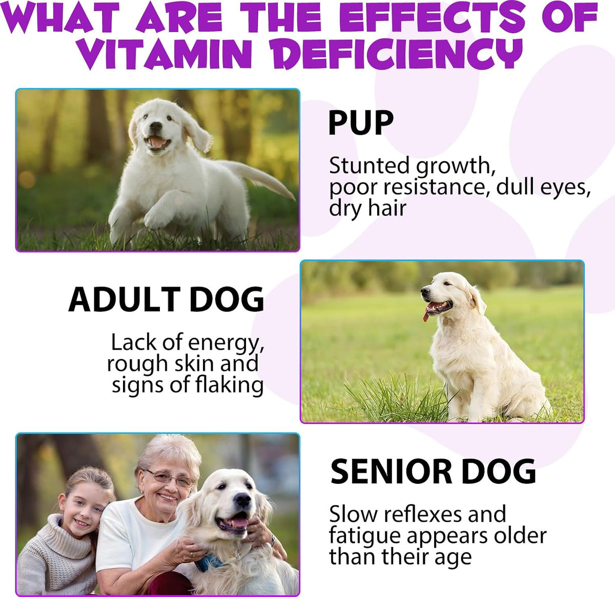 Onznoz 15-in-1 Dog Multivitamin Liquid – Supports Skin, Coat, Heart, Bones & Joint Health (59 ml) - görsel 6