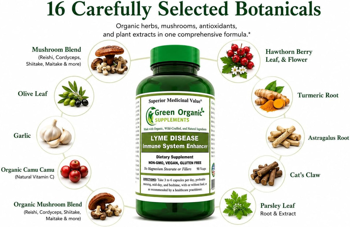 Green Organic Supplements Lyme Disease Immune System Support - görsel 2
