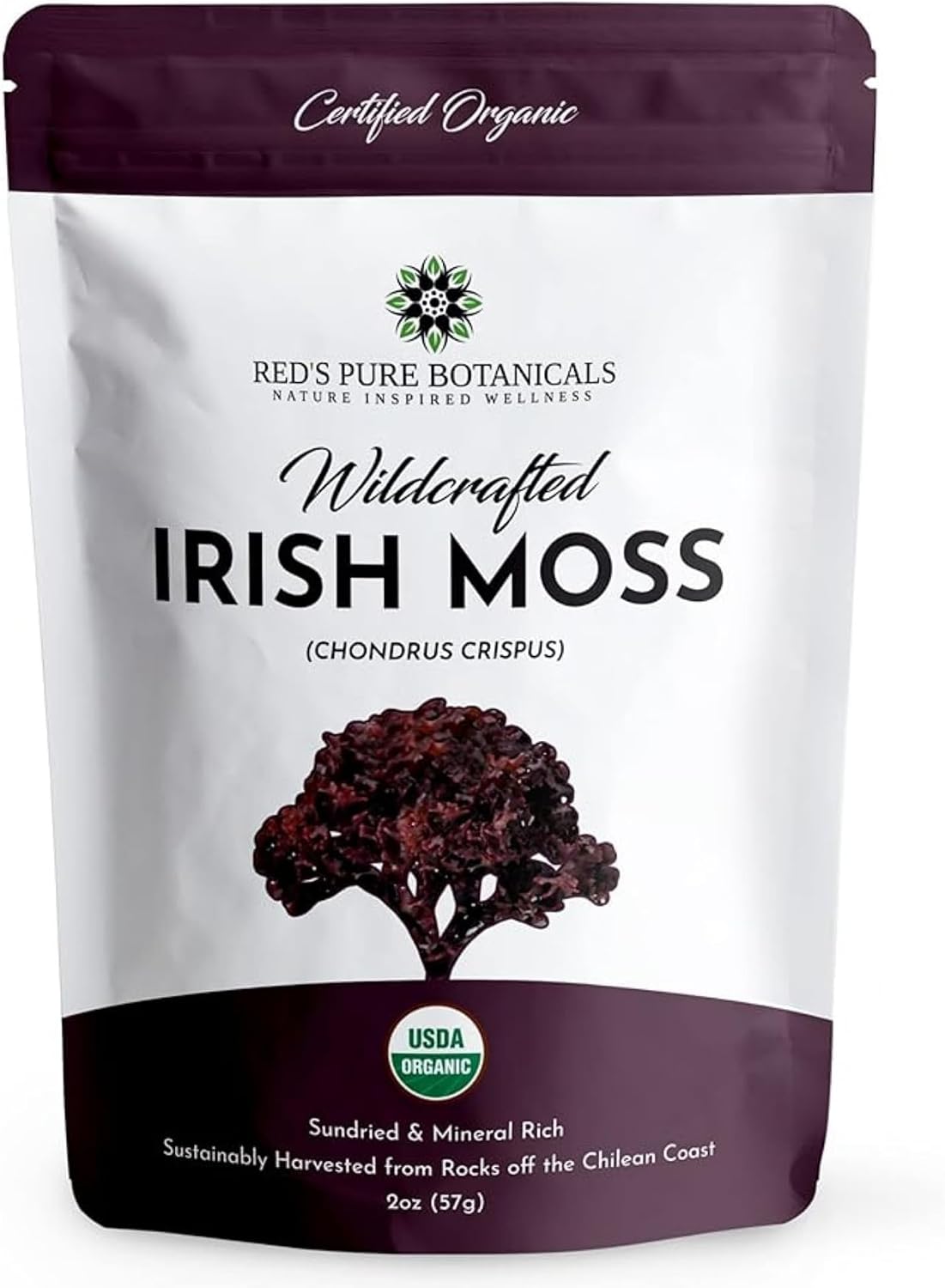USDA Organic Irish Sea Moss (Purple) - Wildcrafted Chondrus Crispus - Sustainably Harvested from Chile - Makes Approximately 2.8 Litres of Gel - Red's Pure Botanicals - görsel 1