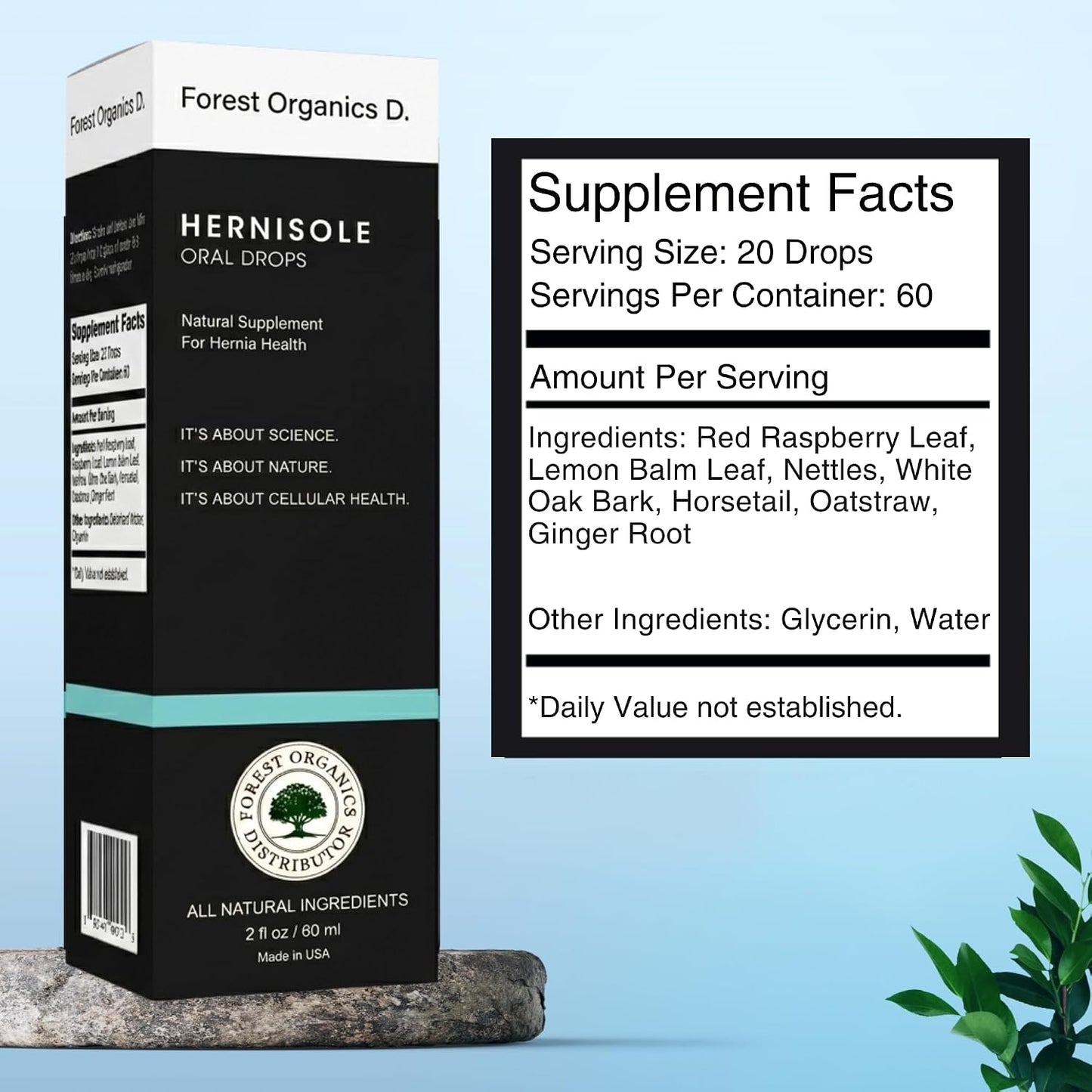 Hernia Health Dietary Supplement – Herbal Support Drops – Concentrated Blend of 24 Plants for Digestive Health - görsel 9