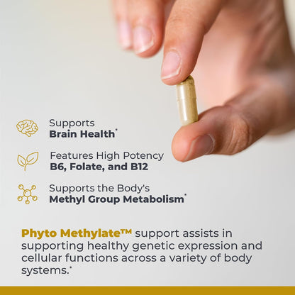 Premier Research Labs Phyto Methylate - Methylated B Vitamin Complex with 5-MTHF and P5P - Supports Methylation, Detox and Cardiovascular Health - 60 Plant-Based Capsules