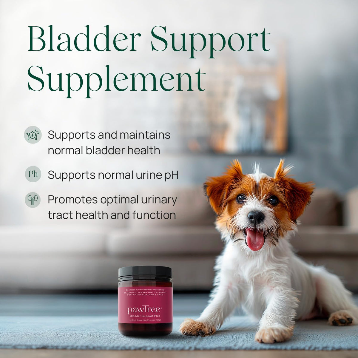 pawTree Bladder Support Plus - Bladder & Urinary Tract Wellness Supplement for Dogs and Cats - with D-Mannose, Cranberry, Glucosamine and Marshmallow Root (Large) - görsel 3