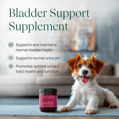 pawTree Bladder Support Plus - Bladder & Urinary Tract Wellness Supplement for Dogs and Cats - with D-Mannose, Cranberry, Glucosamine and Marshmallow Root (Large)