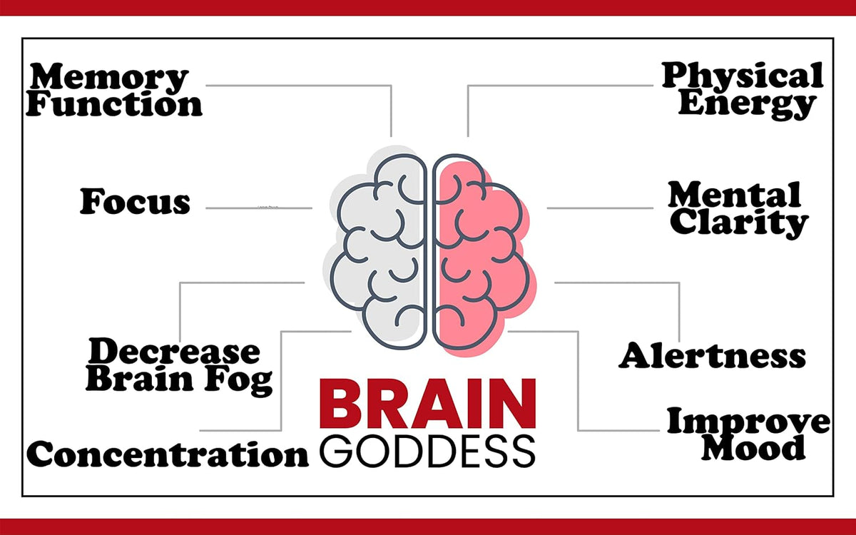 Warped Wellness Brain Goddess | Women's Brain Supplement for Memory and Focus - görsel 3