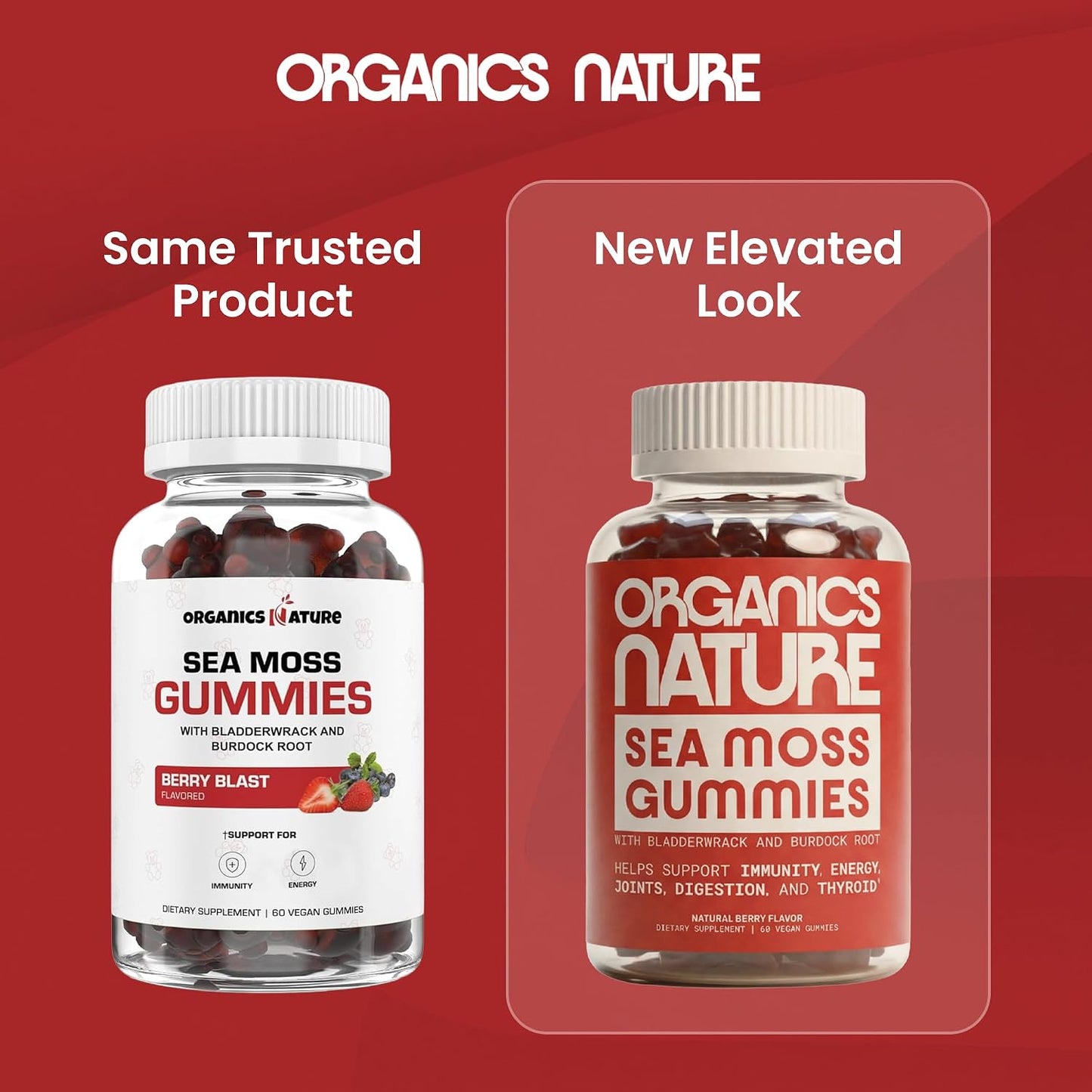 ORGANICS NATURE Irish Sea Moss Gummies for Immune & Energy Support - görsel 2