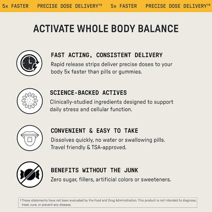 Meche Body Sync™ Rapid Dissolve Multivitamin Strips for Women & Men - Vitamins A, C, D3, K2, B Complex with Methylated B12 & Folate - Natural, Sugar Free