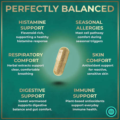 Histamine Block 10:1 Flavonoids Supplement – Quercetin, Stinging Nettle, Artemisia Annua – Seasonal Allergy Support – 60 Capsules