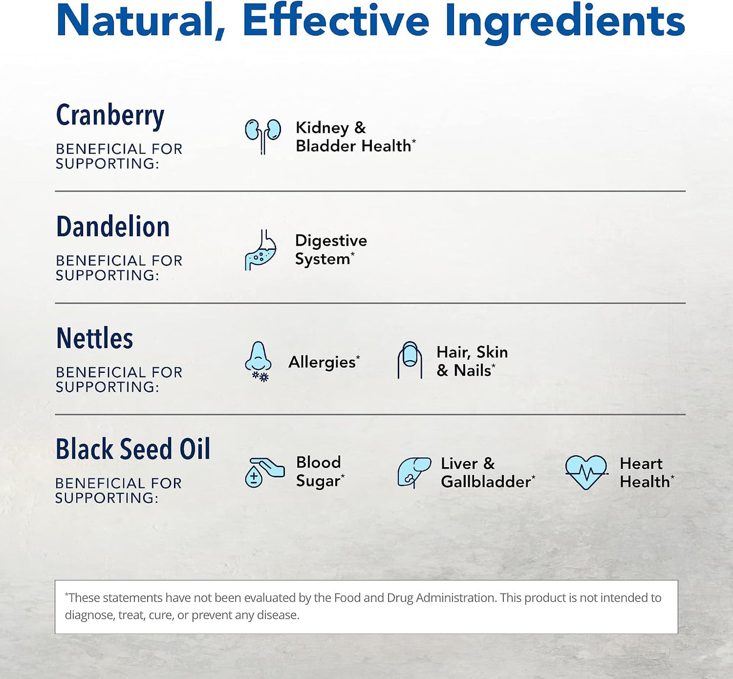 North American Herb & Spice Total Body Purge - Raw Whole Body Formula with Natural Phenols, Vitamins & Minerals - görsel 3