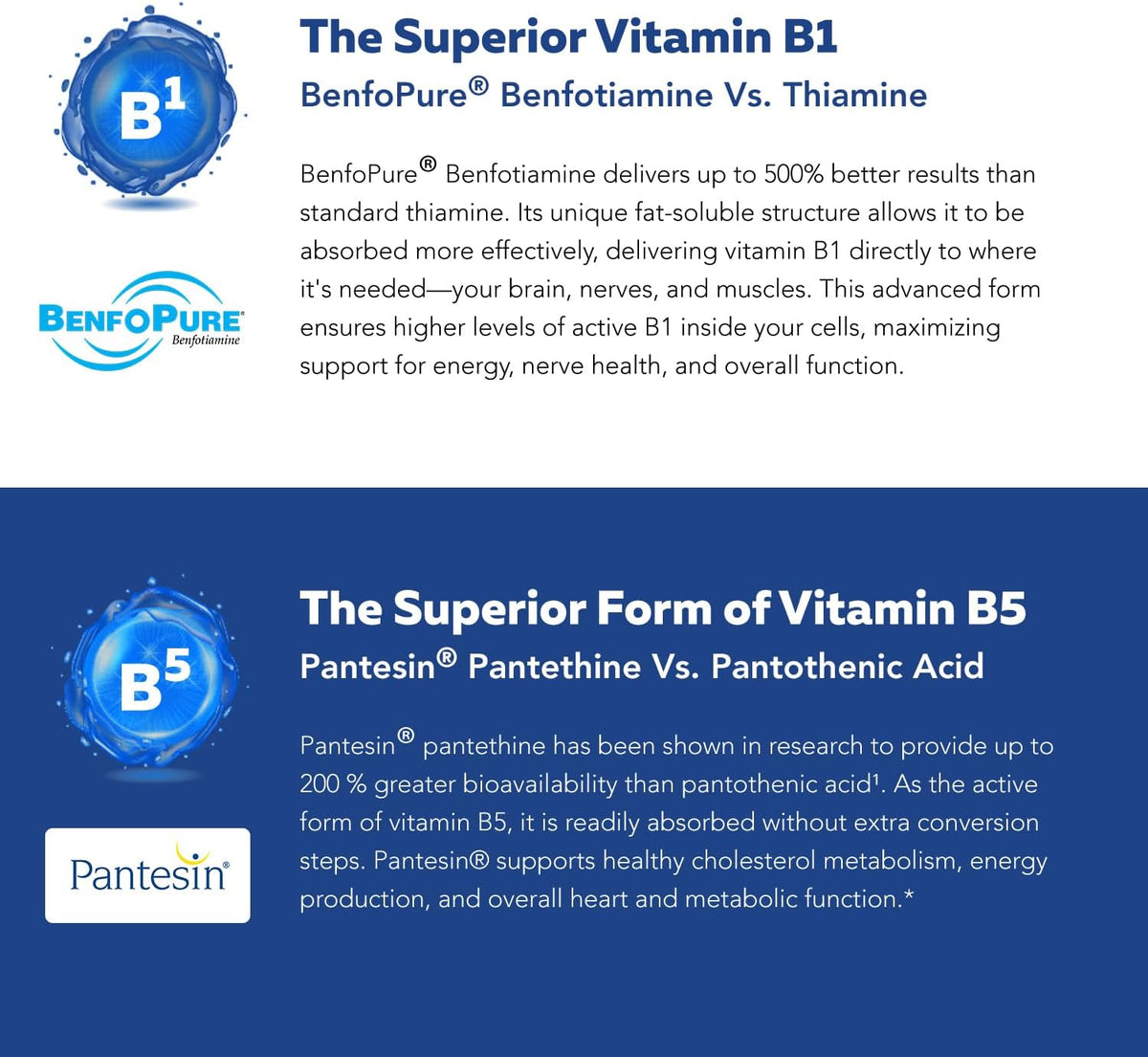 BioActive Vitamin B Complex - Blood Stream Ready, Methylated B Complex - Featuring Methylfolate, 3 BioActive Forms of B12, – Image 7