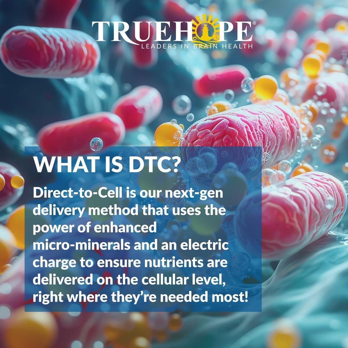 Truehope EMPowerplus Ultimate Strength - 30 Day Supply - görsel 6