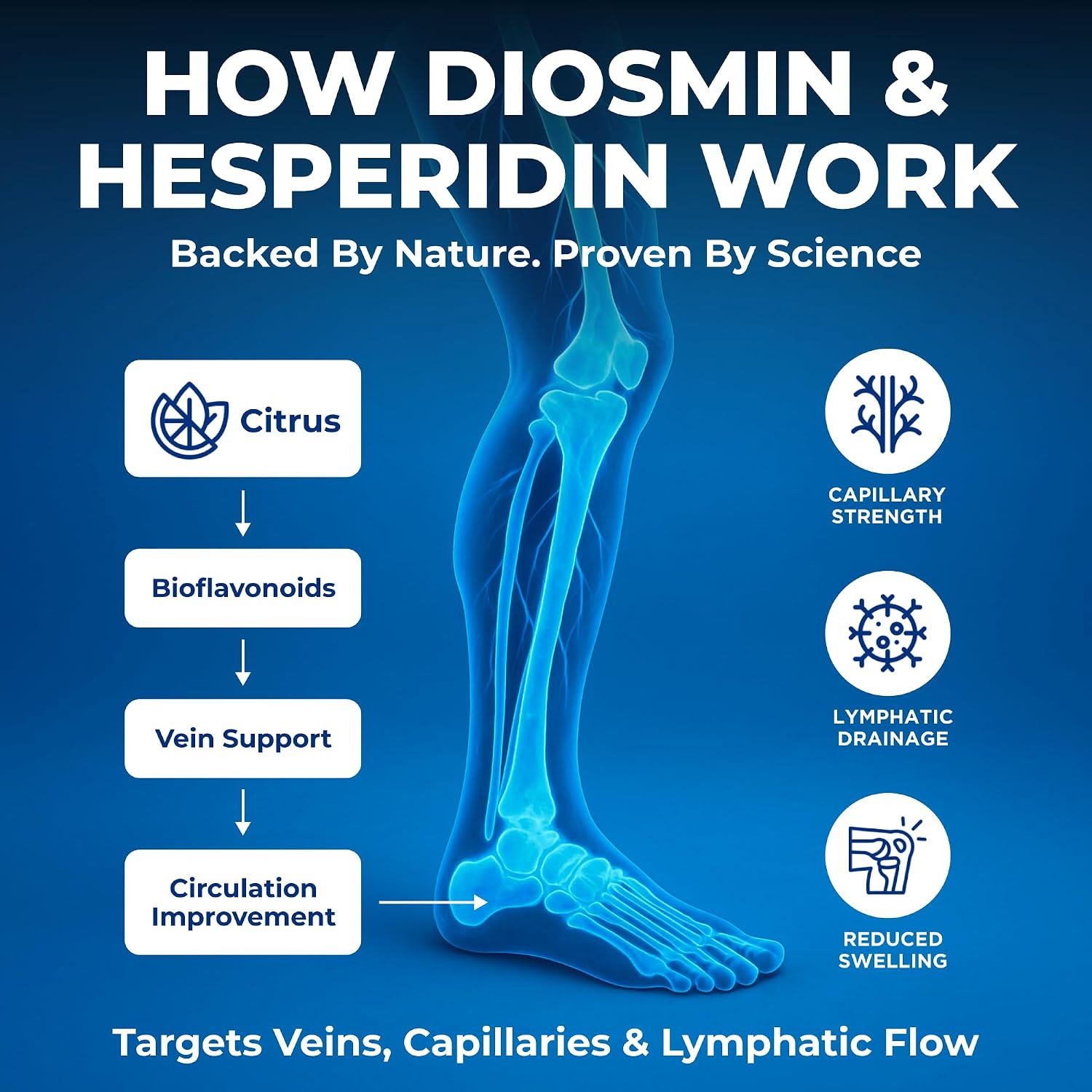 Vein Vitality 1250mg Diosmin Hesperidin Complex - Supports Leg Vein Health and Circulation - 60 Capsules - görsel 4