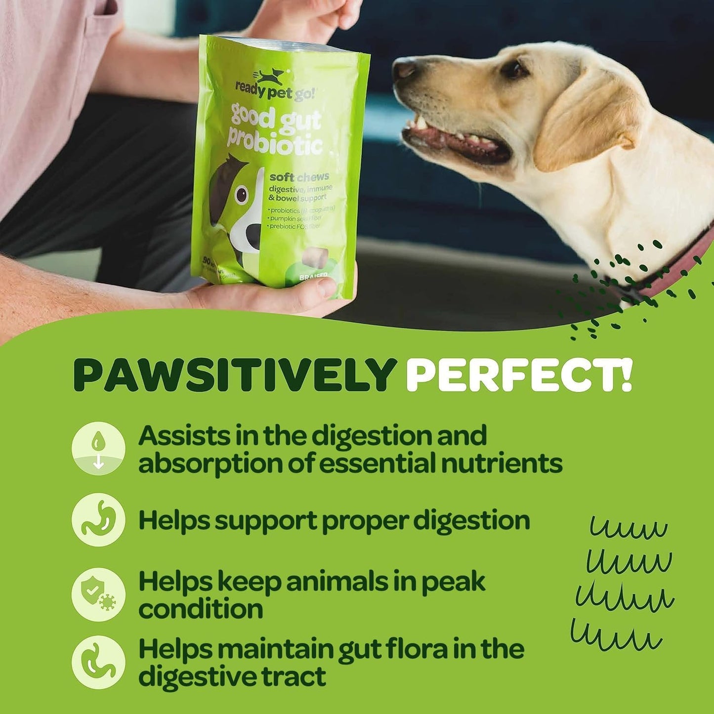 Ready Pet Go! Probiotic Chews for Dogs – Gut Health & Digestive Support with Pumpkin and Enzymes, 90 Count - görsel 4