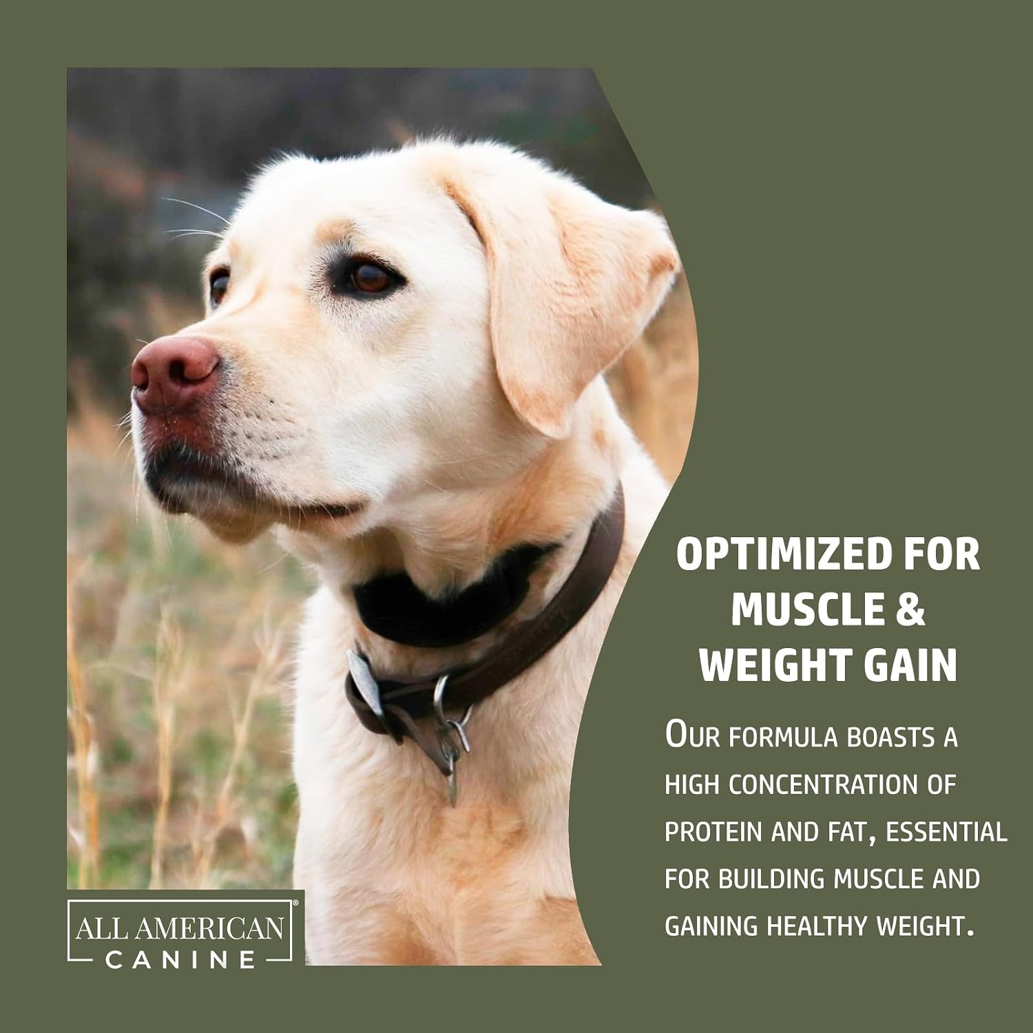 All American Canine Dog Weight Gainer + Digestive Aid Formula, Natural Health Supplement Food Topper, Weight Gain Supplements for Dogs, & Dog Muscle Builder - 60 Servings - görsel 5
