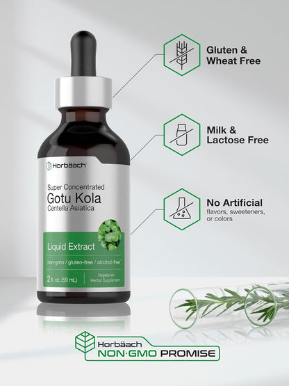 Horbäach Gotu Kola Extract - Alcohol Free Liquid Supplement, 60 ml