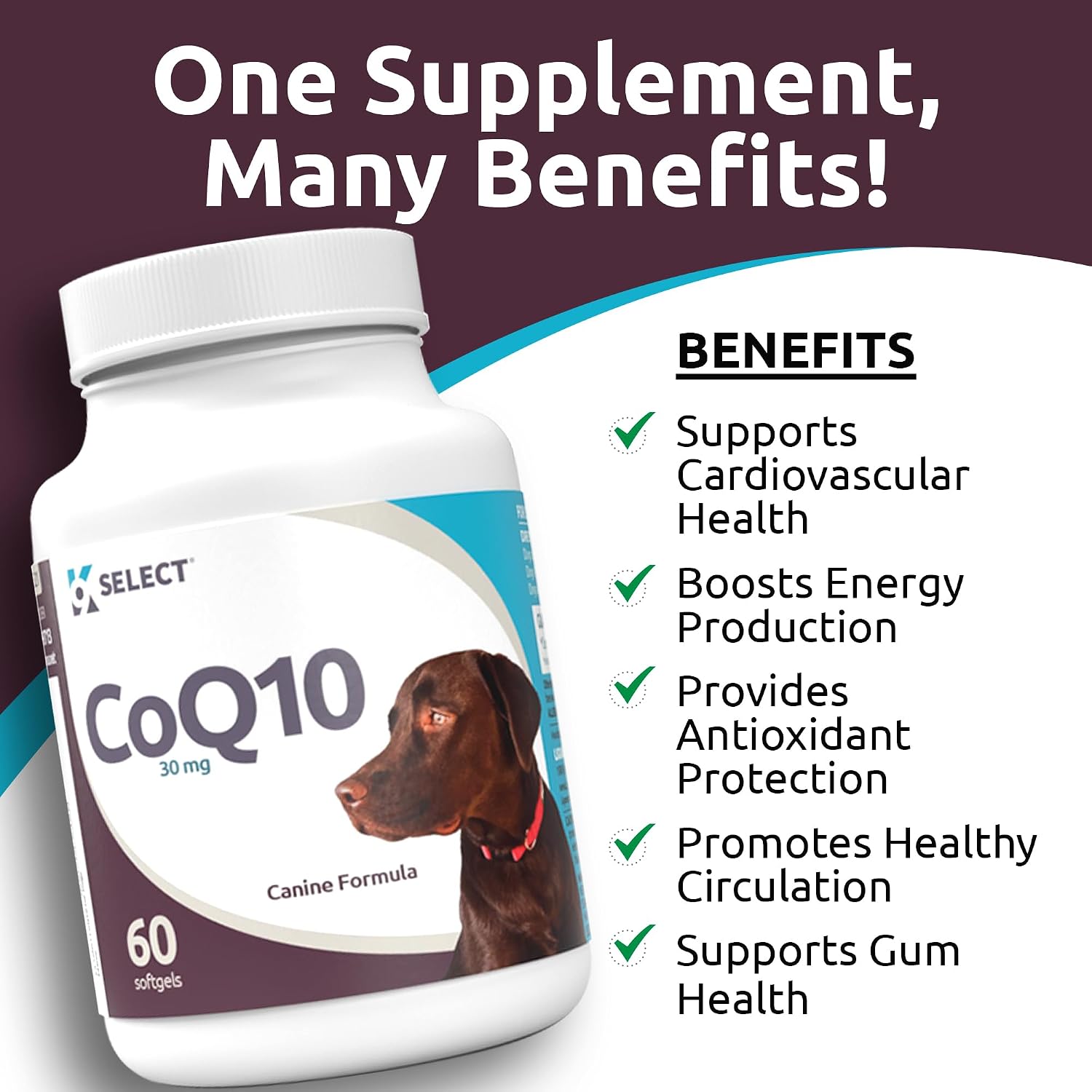 K9 Select CoQ10 Supplement for Dogs, 30mg – 90 Softgels - görsel 6