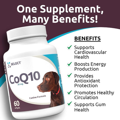 K9 Select CoQ10 Supplement for Dogs, 30mg – 90 Softgels