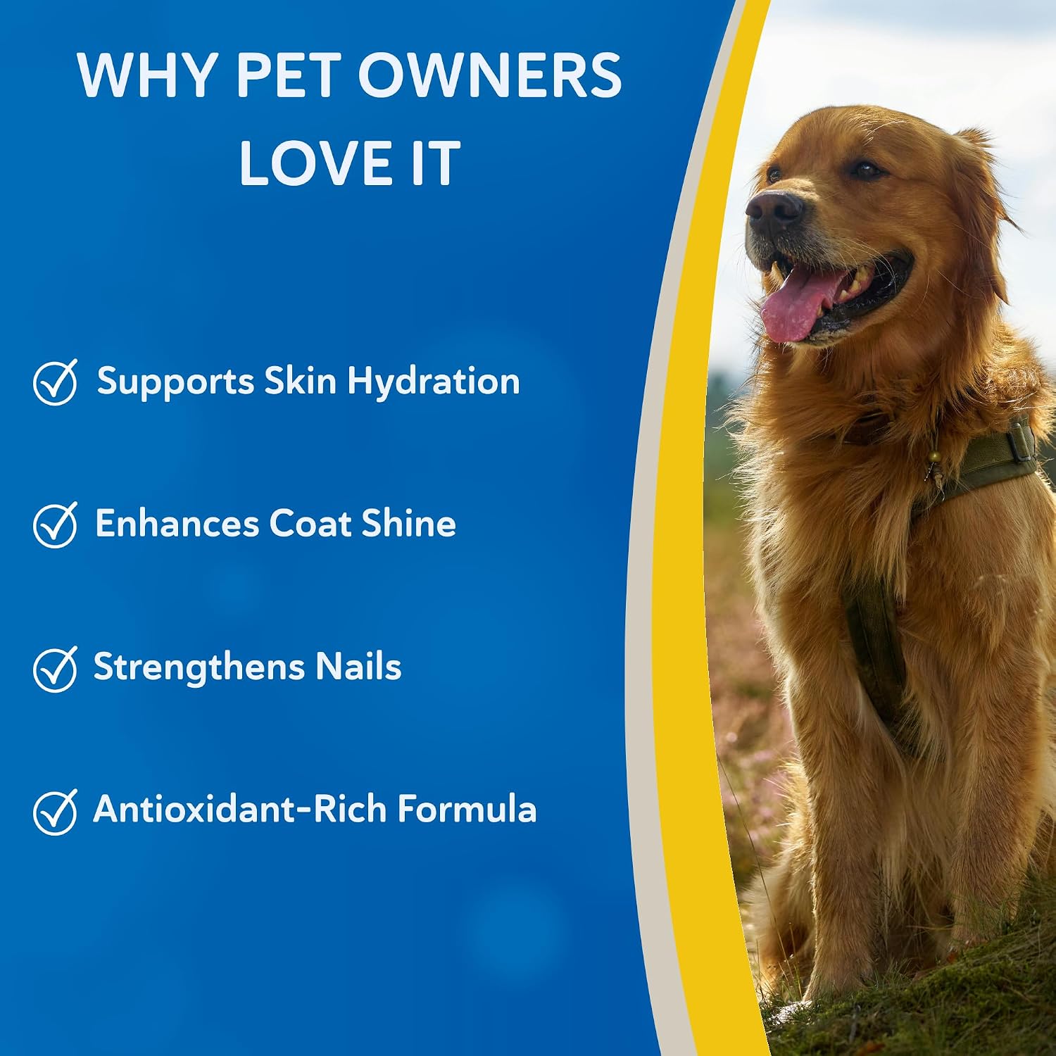 Doc Roy’s Derma Coat Plus Dog Supplement, Supports Healthy Skin, Coat & Nails, with Omega-3-6-9 Fatty Acids, Biotin & Antioxidants, 60 Chews for Medium and Large Dogs - görsel 2