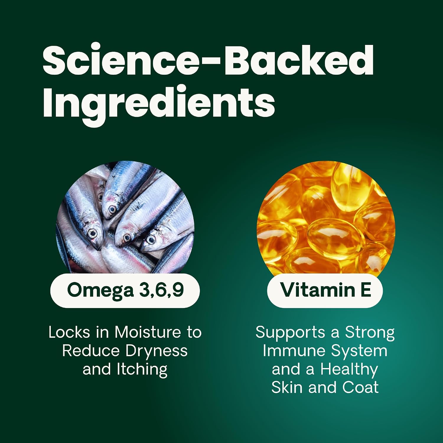 VetriScience Derma Strength Omega-3 Salmon Oil Skin & Coat Chews for Dogs, 70 Count - görsel 5